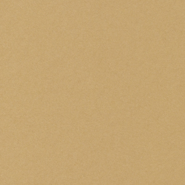 星野 ベーシックカード L 6.キャメル 323186 50枚/箱(ご注文単位1箱)【直送品】