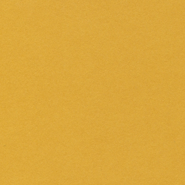 星野 ベーシックカード L 7.マスタード 323187 50枚/箱(ご注文単位1箱)【直送品】