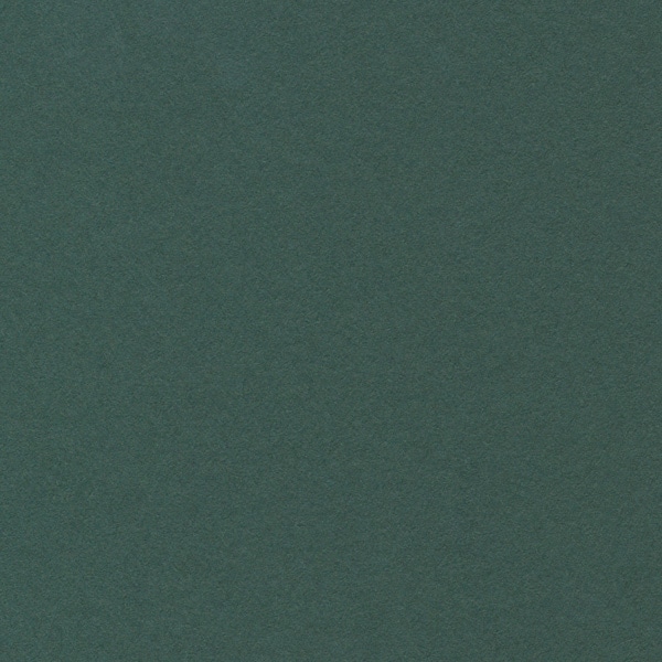 星野 ベーシックカード P 16.ダークグリーン 323086 50枚/箱(ご注文単位1箱)【直送品】