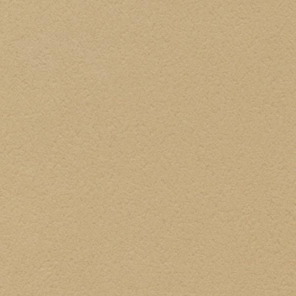 星野 プレーンカード S　4.ベージュ　323324 50枚/パック（ご注文単位1パック）【直送品】