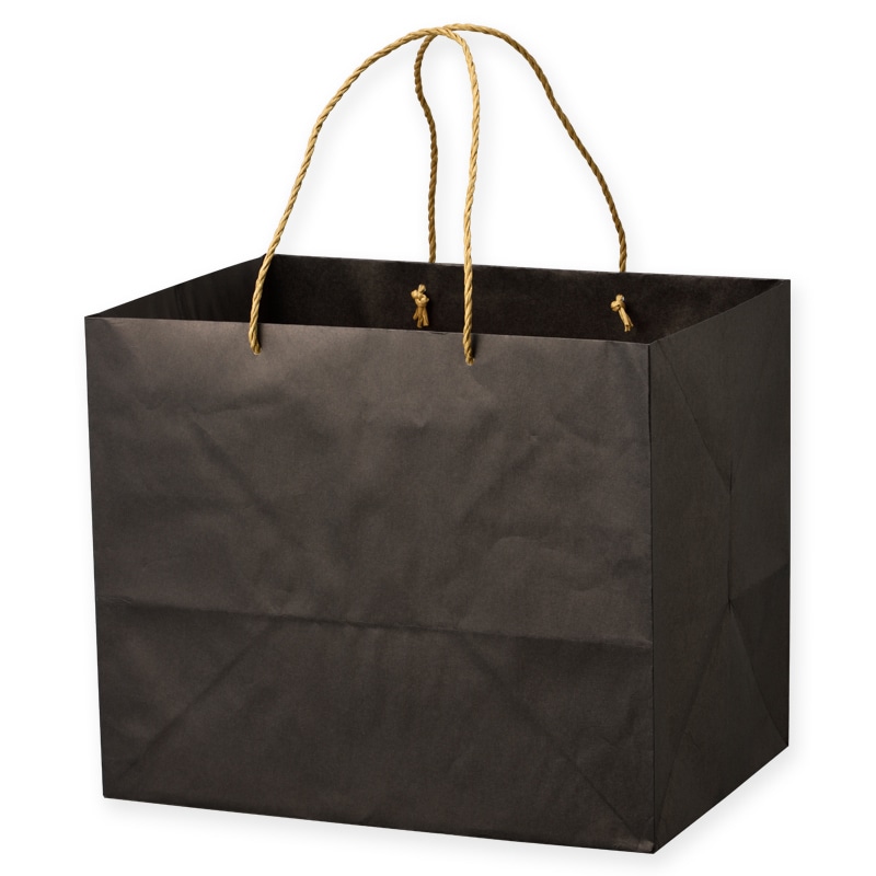 星野 手提げ紙袋 キャリーバッグ ZB-L 6 ブラック 314291 100枚/束(ご注文単位1束)【直送品】