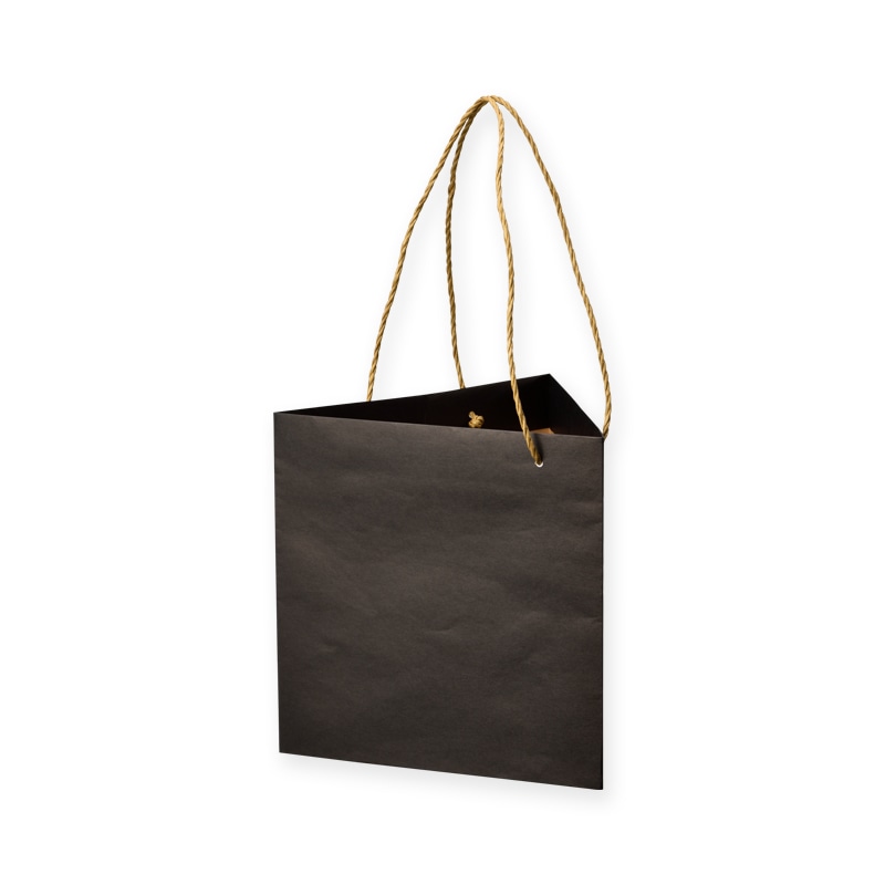 星野 手提げ紙袋 キャリーバッグ ZB-TM 6 ブラック 314300 100枚/束(ご注文単位1束)【直送品】