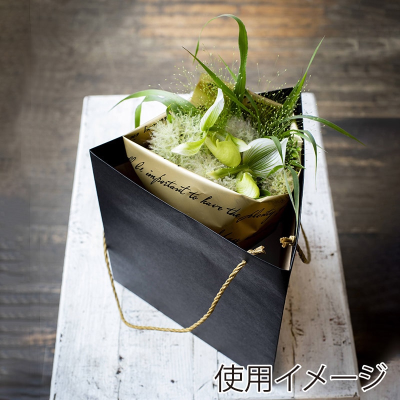 星野 手提げ紙袋 キャリーバッグ ZB-TM 6 ブラック 314300 100枚/束(ご注文単位1束)【直送品】