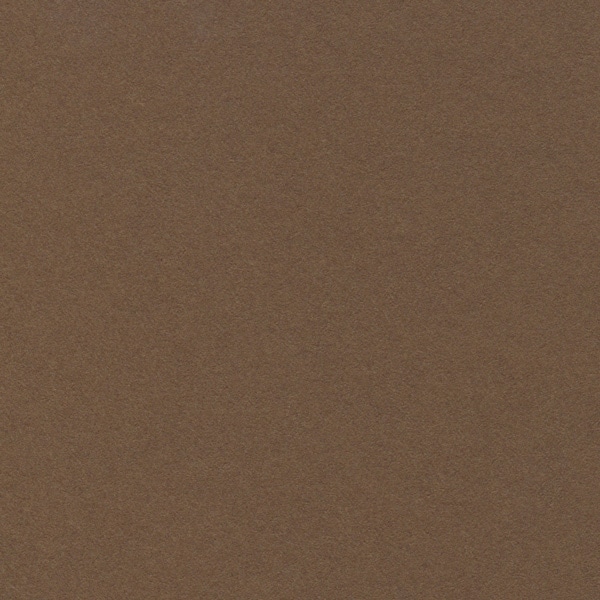 星野 ベーシックカード P 8.ダークブラウン 323028 50枚/箱(ご注文単位1箱)【直送品】