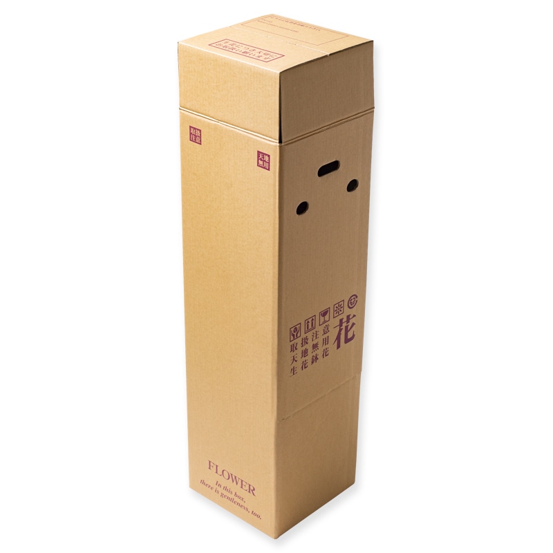 星野 花用宅配ボックス PS113-160 313063 20組/束（ご注文単位1束）【直送品】