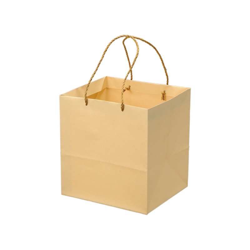 星野 手提げ紙袋　キャリーバッグ K-M 2　ベージュ　314122 100枚/束（ご注文単位1束）【直送品】