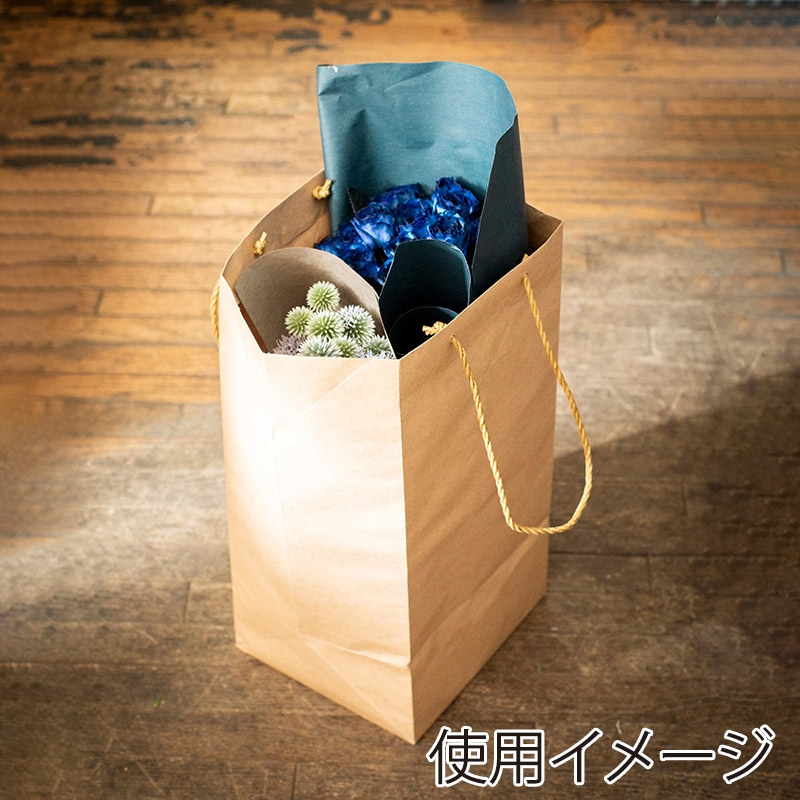 星野 手提げ紙袋 キャリーバッグ K-SL 3 ブラウン 314140 100枚/束(ご注文単位1束)【直送品】