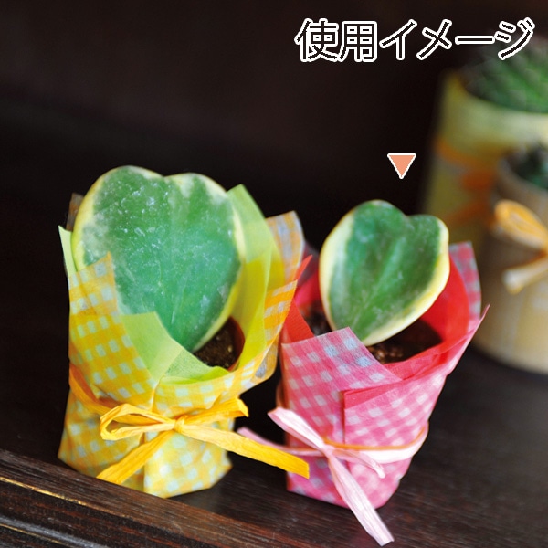 マッセ ラッピングロール　ジェリー No.2　レッド 101002 1本（ご注文単位1本）【直送品】