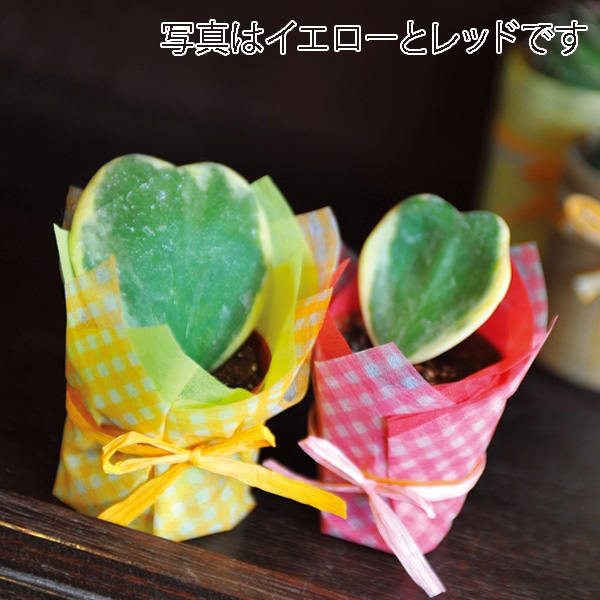 マッセ ラッピングロール　ジェリー No.3　オレンジレッド 101003 1本（ご注文単位1本）【直送品】