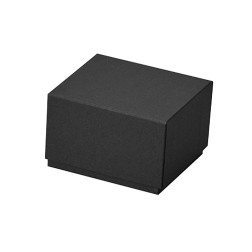 原口 ジュエリーケース アルバ 黒 イヤリング E816-SP 1個(ご注文単位10個)【直送品】