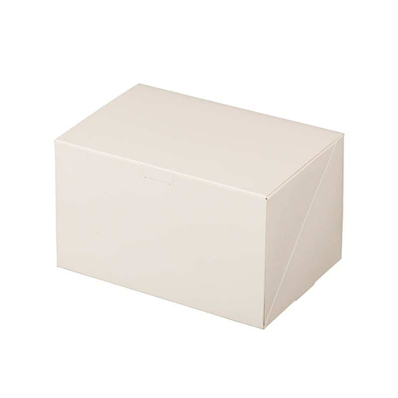 パッケージ中澤 洋生ケーキ函 105ニューワン No.6 A20530 400枚/箱（ご注文単位1箱）【直送品】