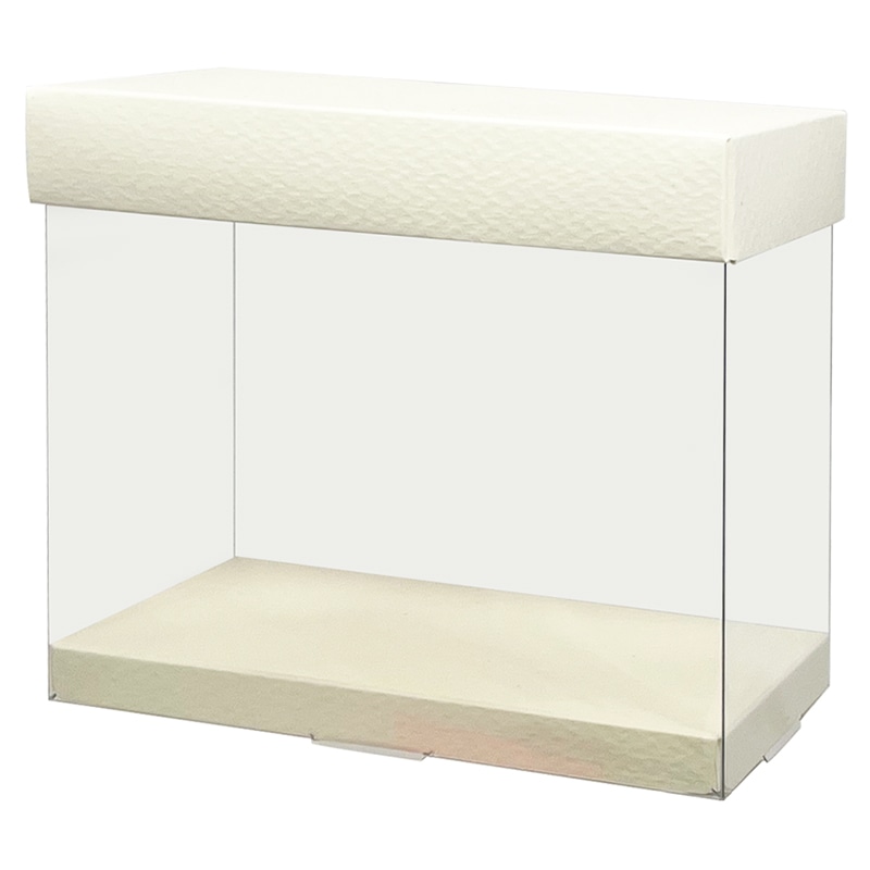 大森 アンサンブルボックス ASAタイプ ASA-6102 クリーム 100セット/箱(ご注文単位1箱)【直送品】