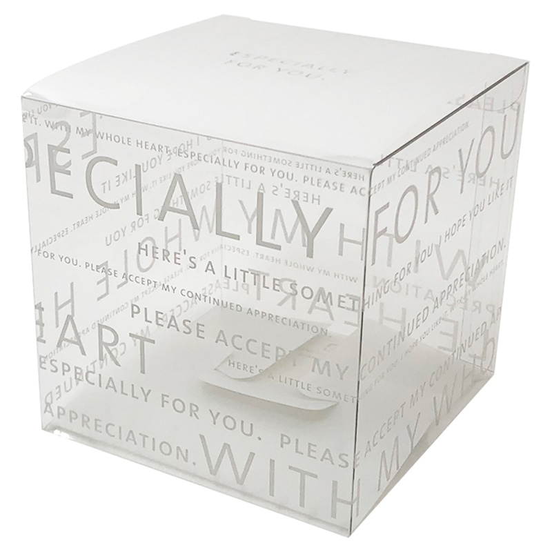 大森 クリアケース　ピュアケース PNN-100　ブラン 100枚/箱（ご注文単位1箱）【直送品】