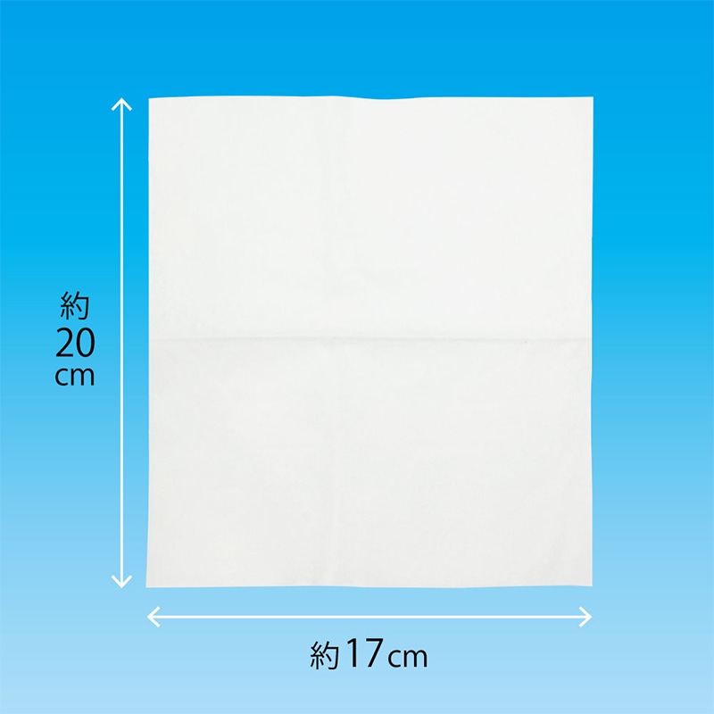 エスパック フェイスガーゼ 100枚入 1箱（ご注文単位48袋)【直送品】