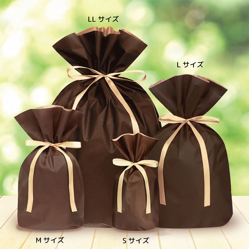 エスパック 梨地リボン付ギフト袋 L ブラウン 20枚/袋(ご注文単位1袋)【直送品】