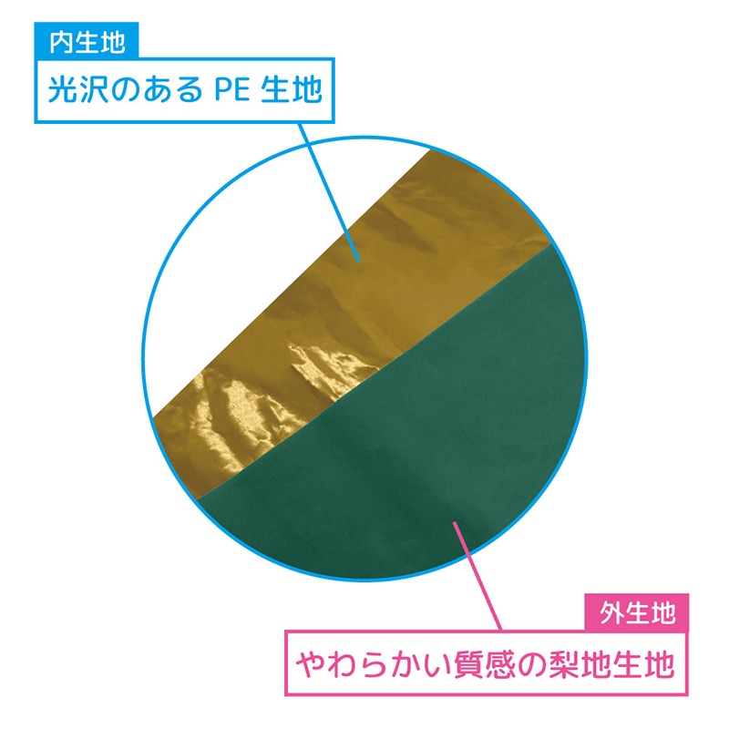エスパック 梨地リボン付ギフト袋 M ダークグリーン 20枚/袋(ご注文単位1袋)【直送品】