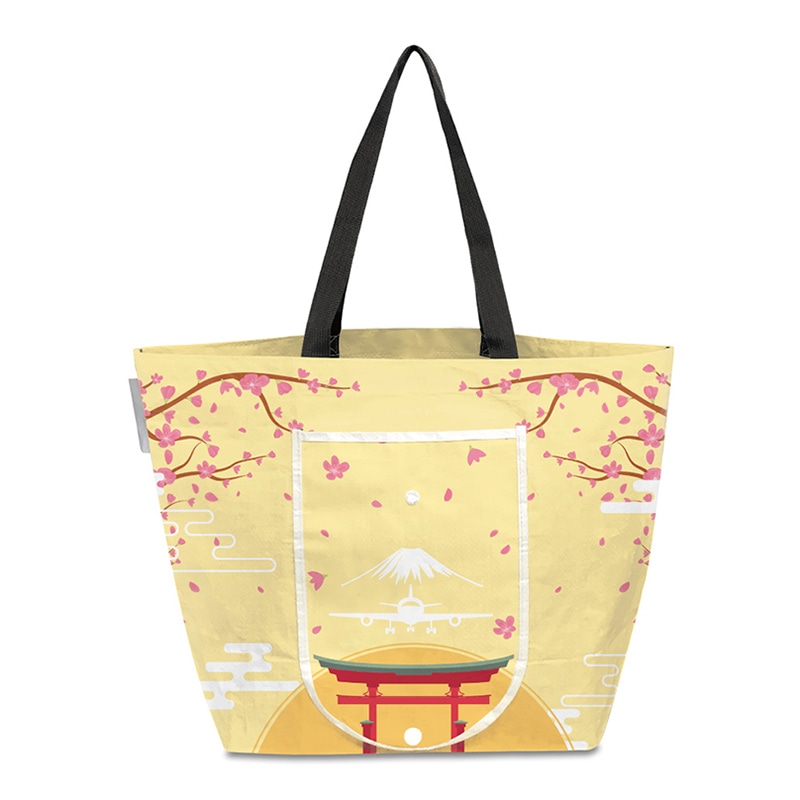 エスパック レジャーシートエコバッグ 飛行機1 1個(ご注文単位5個)【直送品】