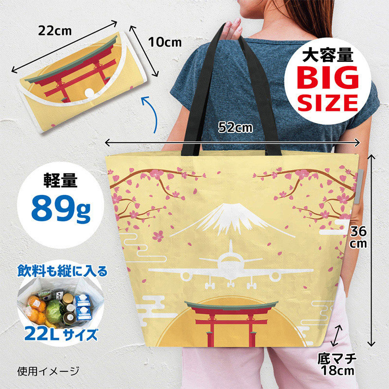 エスパック レジャーシートエコバッグ 飛行機1 1個(ご注文単位5個)【直送品】