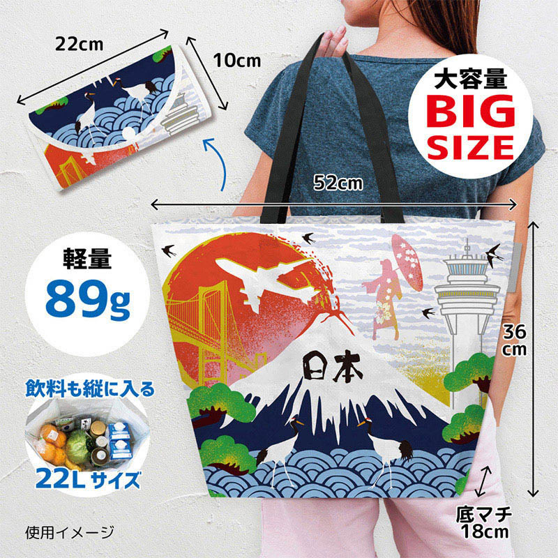 エスパック レジャーシートエコバッグ 飛行機2 1個(ご注文単位5個)【直送品】