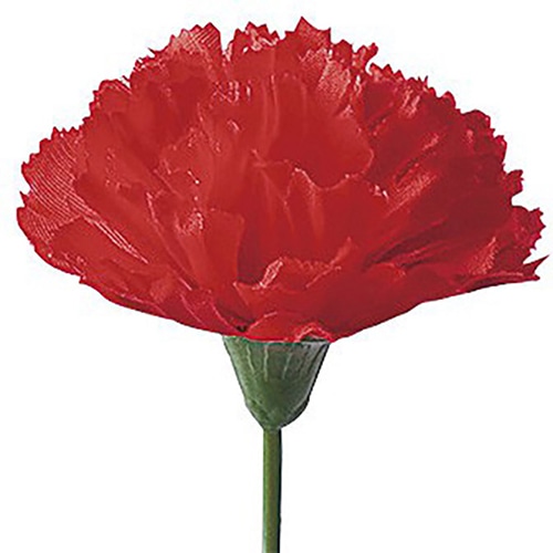 アルファ カーネーション 大 MA1-0027 1本(ご注文単位100本)【直送品】