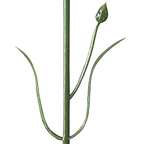 アルファ カーネーション 大 MA1-0027 1本(ご注文単位100本)【直送品】