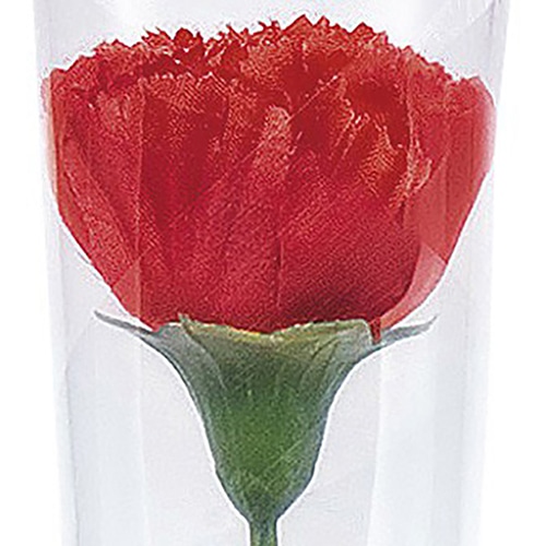 アルファ カーネーション かすみイラストラップ 大 MA1-0027D 1本(ご注文単位100本)【直送品】