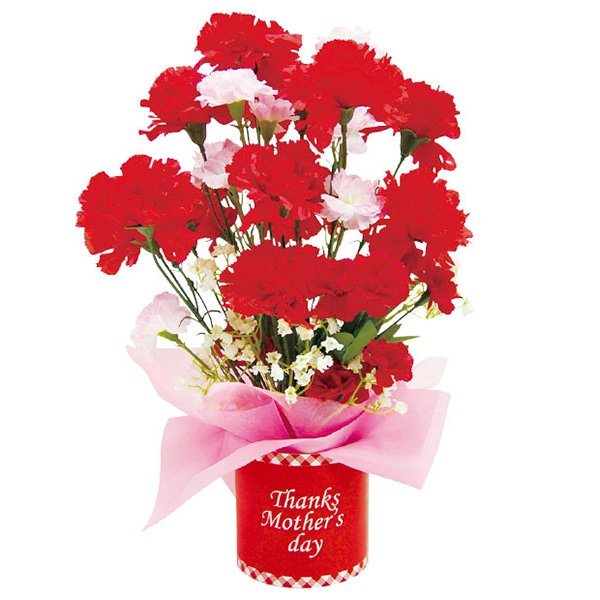 アルファ 母の日カーネーションスタンド TE1-1341 1個(ご注文単位2個)【直送品】