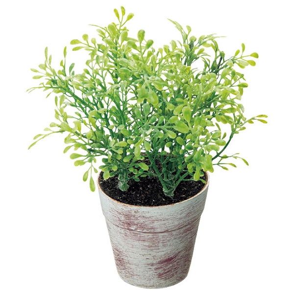 アルファ ボックスウッドポット TE8-0055 1個（ご注文単位1個）【直送品】