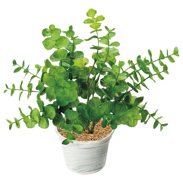 アルファ ユーカリポット TE8-0057 1個（ご注文単位1個）【直送品】