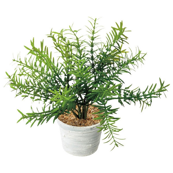 アルファ ローズマリーポット TE8-0058 1個（ご注文単位1個）【直送品】