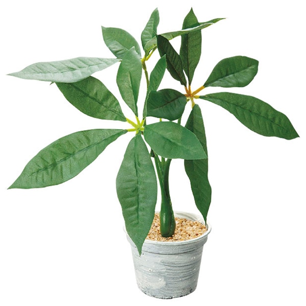 アルファ パキラポット TE8-0059 1個（ご注文単位1個）【直送品】