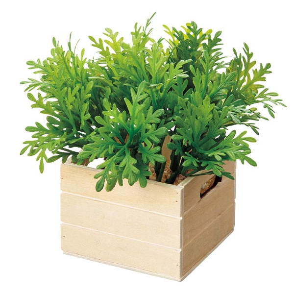 アルファ シロタエコンテナボックス TE8-0060 1個（ご注文単位1個）【直送品】