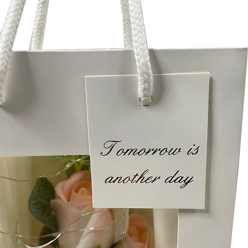 マッセ 窓付きスリムバッグ R-124 1枚(ご注文単位10枚)【直送品】