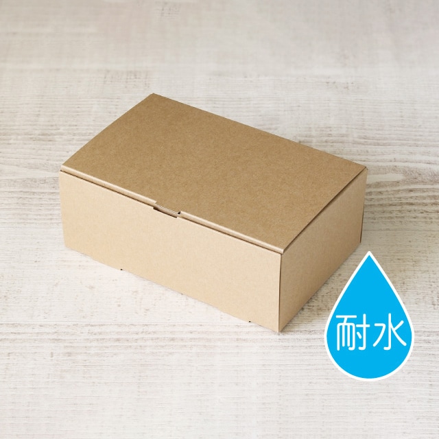 サガシキ ギフトボックス　ライトプルーフ 50枚入 GFT006AA＿S＿100 50枚/束（ご注文単位2束）【直送品】