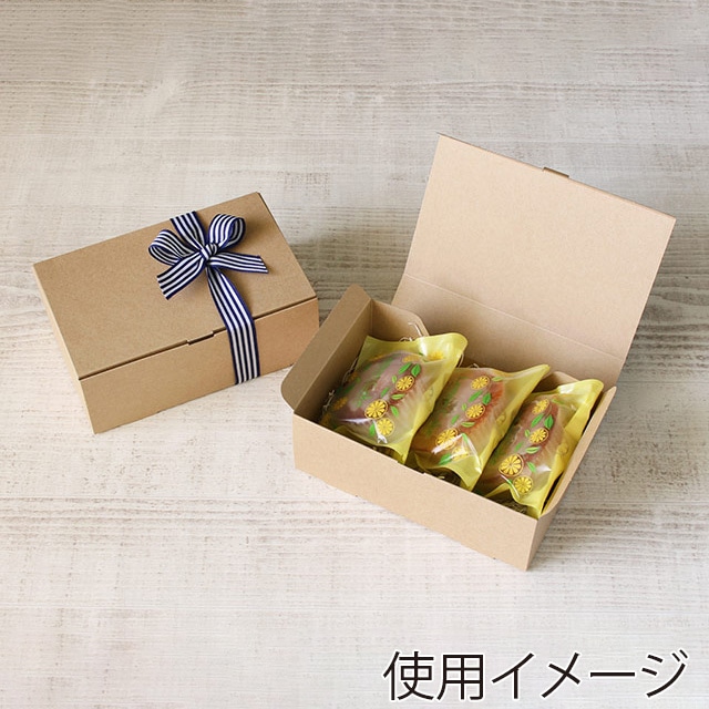 サガシキ ギフトボックス ライトプルーフ 50枚入 GFT006AA_S_100 50枚/束(ご注文単位2束)【直送品】