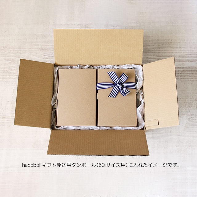 サガシキ ギフトボックス ライトプルーフ 50枚入 GFT006AA_S_100 50枚/束(ご注文単位2束)【直送品】