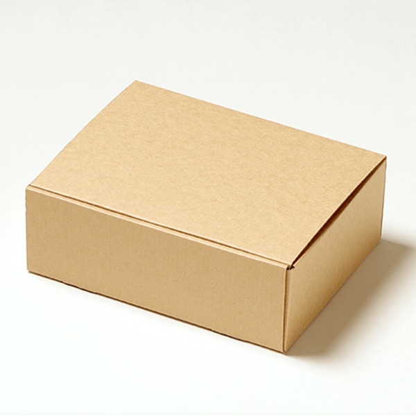 サガシキ ギフトボックスM エコクラフト 100枚入 GFT010AA_S_100 100枚/束(ご注文単位1束)【直送品】