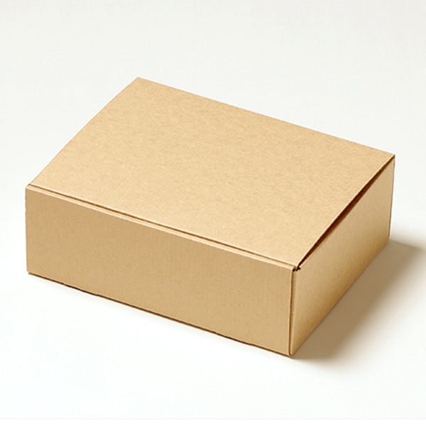 サガシキ ギフトボックスM エコクラフト 100枚入 GFT010AA_S_300 100枚/束(ご注文単位3束)【直送品】