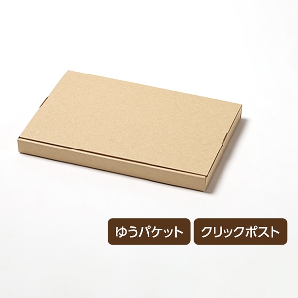 サガシキ メール便ケース N式 A4 3cm対応 MLC001AA_S_100 100枚/束(ご注文単位1束)【直送品】