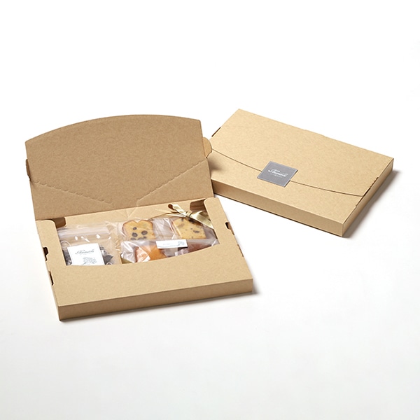 サガシキ メール便ケース ジッパー付 A4 3cm対応 MLC002AA_S_100 100枚/束(ご注文単位1束)【直送品】