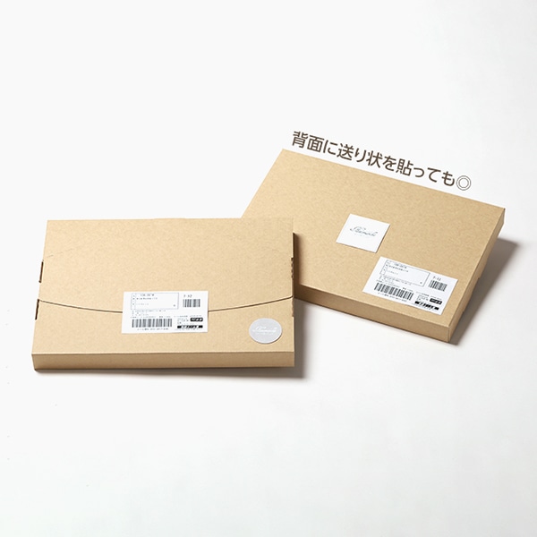 サガシキ メール便ケース ジッパー付 A4 3cm対応 MLC002AA_S_100 100枚/束(ご注文単位1束)【直送品】