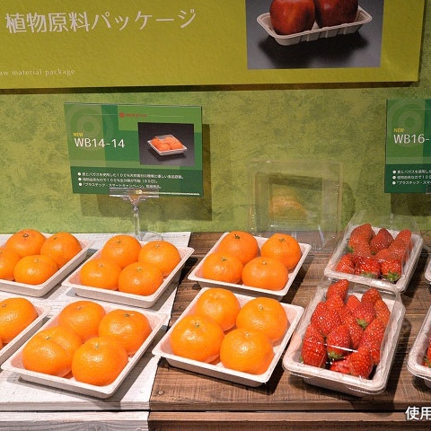 青果容器 WB麦バガストレー 14-14 50枚/袋(ご注文単位20袋)【直送品】