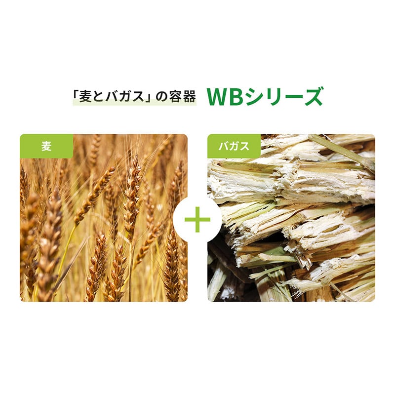 青果容器　WB麦バガストレー 16-11  50枚/袋（ご注文単位20袋）【直送品】