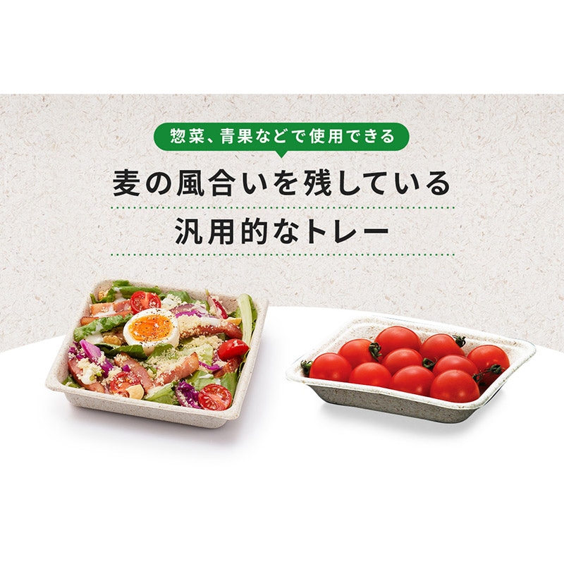 青果容器 WB麦バガストレー 15-10 50枚/袋(ご注文単位32袋)【直送品】