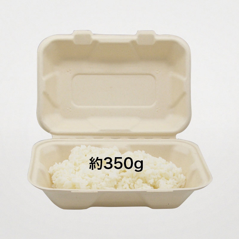 弁当容器　BB竹バガスランチボックス 220-150  50枚/袋（ご注文単位4袋）【直送品】