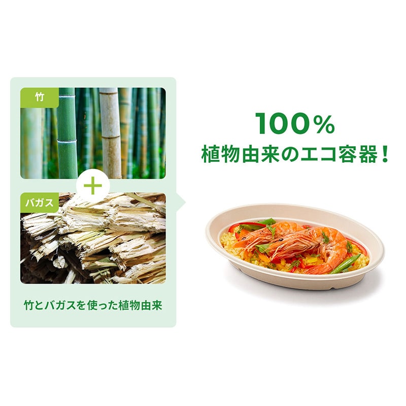 カレー容器　BB竹バガス 240-150  50枚/袋（ご注文単位12袋）【直送品】