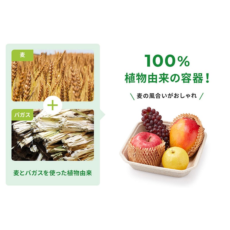 青果容器 WB麦バガス フルーツ 2M 50枚/袋(ご注文単位20袋)【直送品】