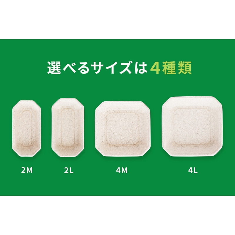 青果容器 WB麦バガス フルーツ 2M 50枚/袋(ご注文単位20袋)【直送品】