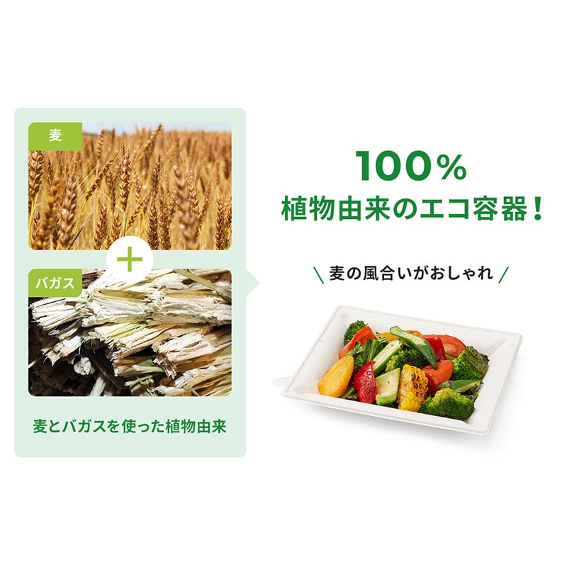 プレート WB麦バガスプレート 本体 20-15 白色 50枚/袋(ご注文単位16袋)【直送品】