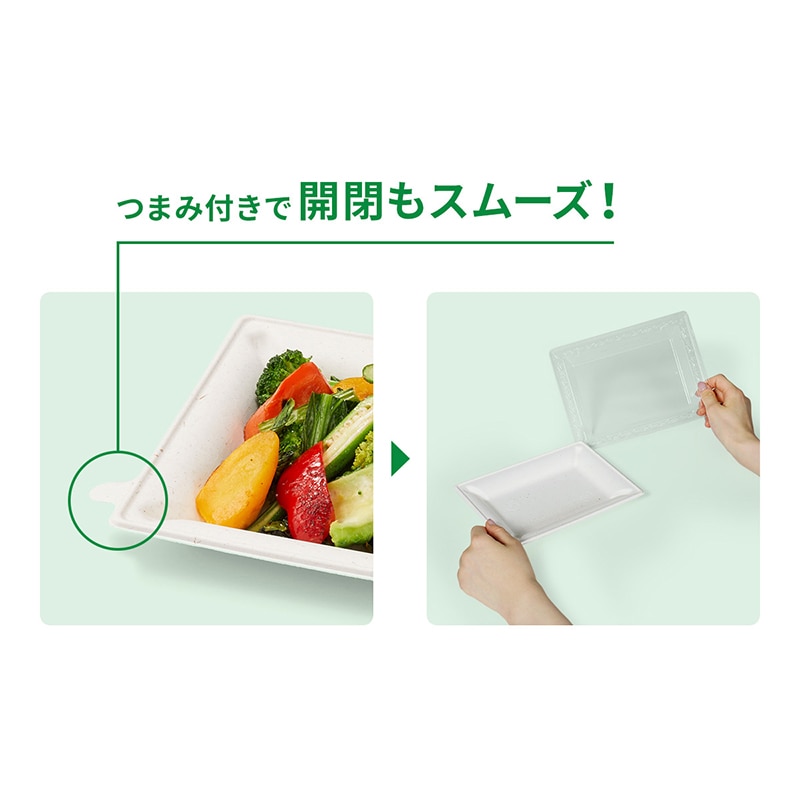 プレート WB麦バガスプレート 本体 20-15 白色 50枚/袋(ご注文単位16袋)【直送品】